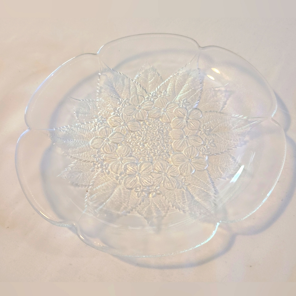 Set of 6: HOYA Floral Luncheon Plates